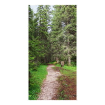 sendero en bosque tarjetas personales