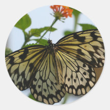 Señora bonita - pegatina de la mariposa