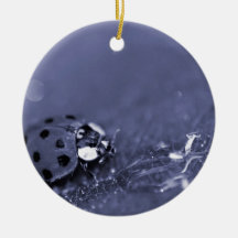 Señora Bug Adornos De Navidad