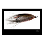 Señora Caroline Salmon Fly Poster posters