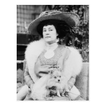 Señora de Pomeranian Postales