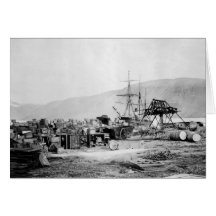 Señora Franklin Bay Expedition: 1880s Felicitacion