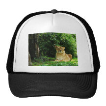 Señora Lion Relaxing Gorros Bordados
