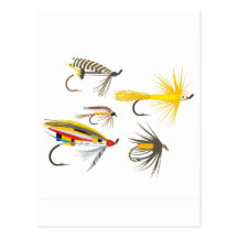 Señuelos de la pesca con mosca postal