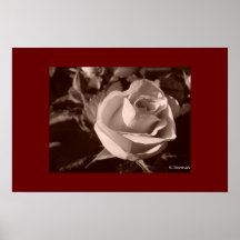 Sepia subió posters