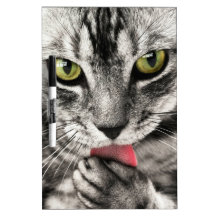 seque el tablero del borrado, amor, gato pizarras  