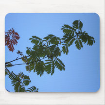 Serbal Mousepad del otoño Alfombrillas De Raton