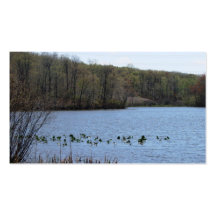 Serenidad del lago plantilla de tarjeta de visita