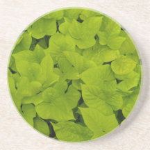 Serie de la planta/de la flor---Práctico de costa  Posavasos Manualidades