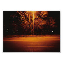 Serie del árbol - #3 arte con fotos