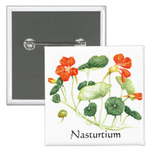 Serie del jardín de hierbas - capuchina pins