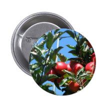Serie del manzanar pin