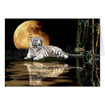 Serie en peligro TIGRE BLANCO de la especie Tarjeta