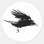 Serie NEGRA del pegatina del CUERVO del VUELO