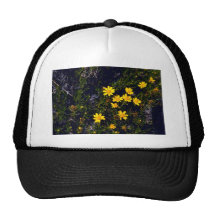 Serpentaria Gorros