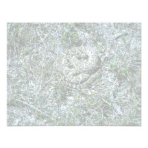 Serpiente de cascabel de Diamondback occidental Anuncios