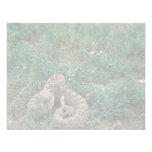 Serpiente de cascabel occidental de Diamondbacked Comunicado Personal