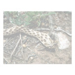 Serpiente de Hognose occidental Comunicado Personalizado