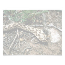 Serpiente de Hognose occidental Comunicado Personalizado