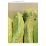 Serpiente exótica felicitaciones