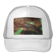 serpiente gorras