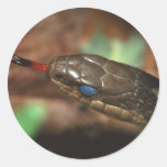 serpiente pegatinas  