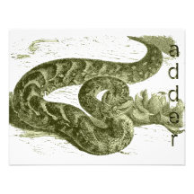 Serpiente (serpiente) comunicado