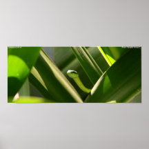 Serpiente verde impresiones
