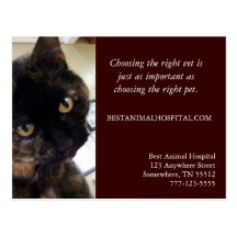 Servicios veterinarios que comercializan la postal