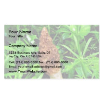 Seta de esponja con las plantas verdes plantilla de tarjeta personal