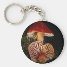 Seta de Waxcap del escarlata Llavero