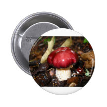 Seta del casquillo del vino pin