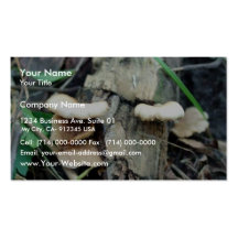 Seta del estante plantillas de tarjetas de visita