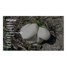 Seta del Puffball en hierba Tarjeta De Visita