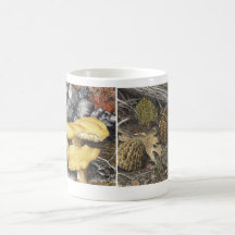 Setas de las morillas y de Chantrelle Tazas De Café