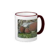 Setas del arbolado que coordinan artículos taza