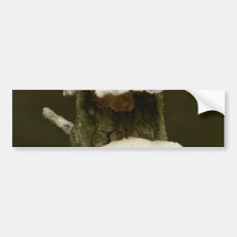 Setas en árbol etiqueta de parachoque