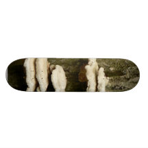 Setas en árbol monopatines personalizados