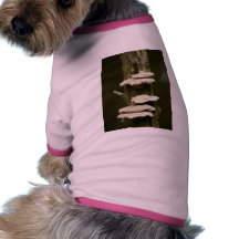 Setas en árbol ropa de mascota