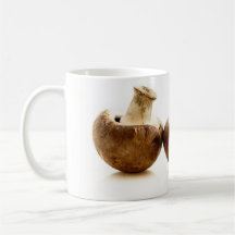 Setas Taza De Café
