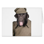 Sgt Labrador Tarjetas