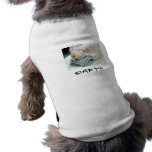 shar pei, SHAR PEI Camisa De Perro