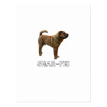 Sharpei Tarjetas Postales