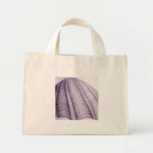 Shell Bolsas