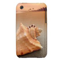 Shell en Playa-Compañero encajona Case-Mate iPhone 3 Protectores