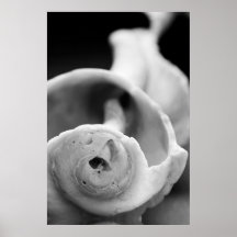 Shell resistido posters