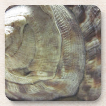 Shell tapa el práctico de costa con corcho posavasos de bebida