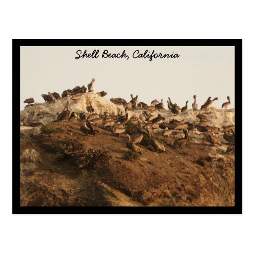 Shell vara, California Tarjeta Postal