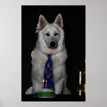 Shepherd whites - Happy Birthday Poster