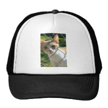 Sherbert de la esperanza pasada gorro